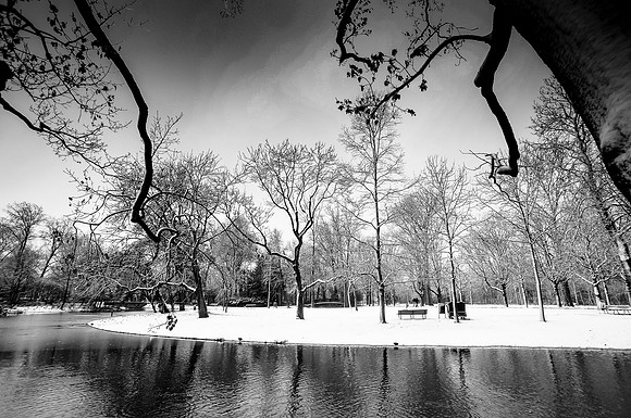 Rotterdam Winter