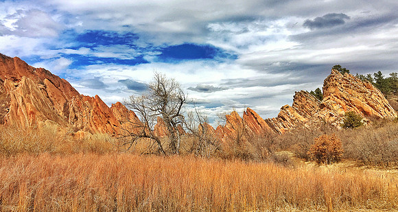 Roxborough Morning