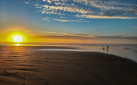 Beach Stroll